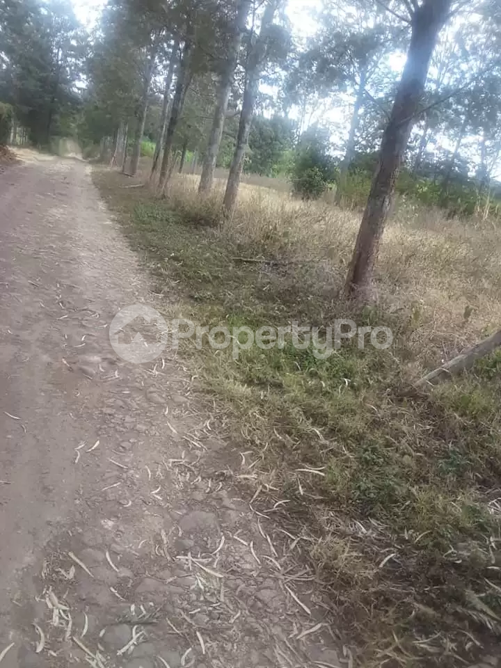 Land for sale Kiserian Kiserian