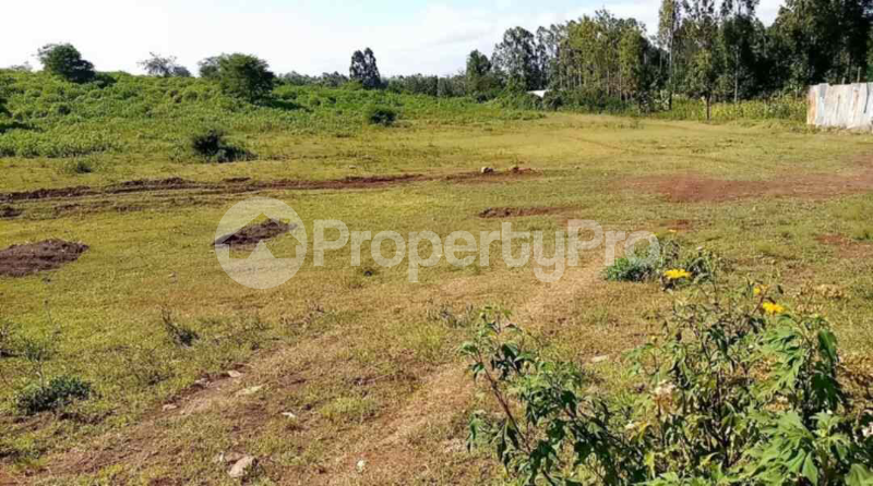 Land for sale Kenol Muranga