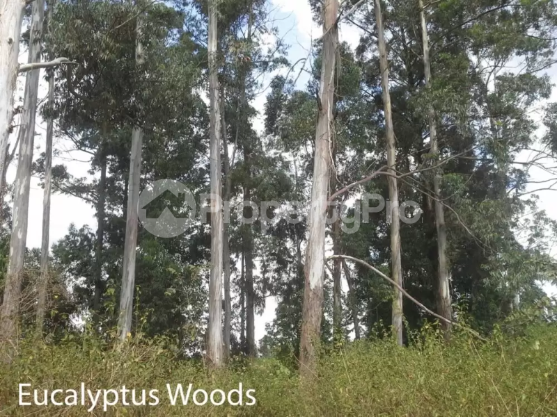 Land for sale Thika Kiambu