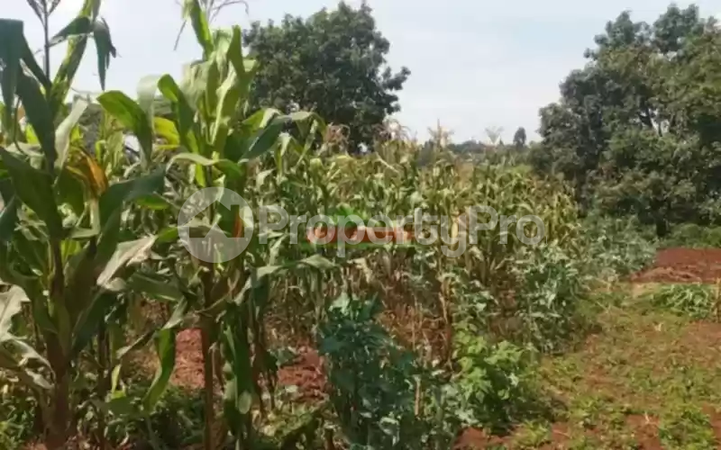 Land for sale Kikuyu Kiambu