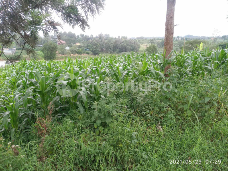 Land for sale Kiambu Kiambu