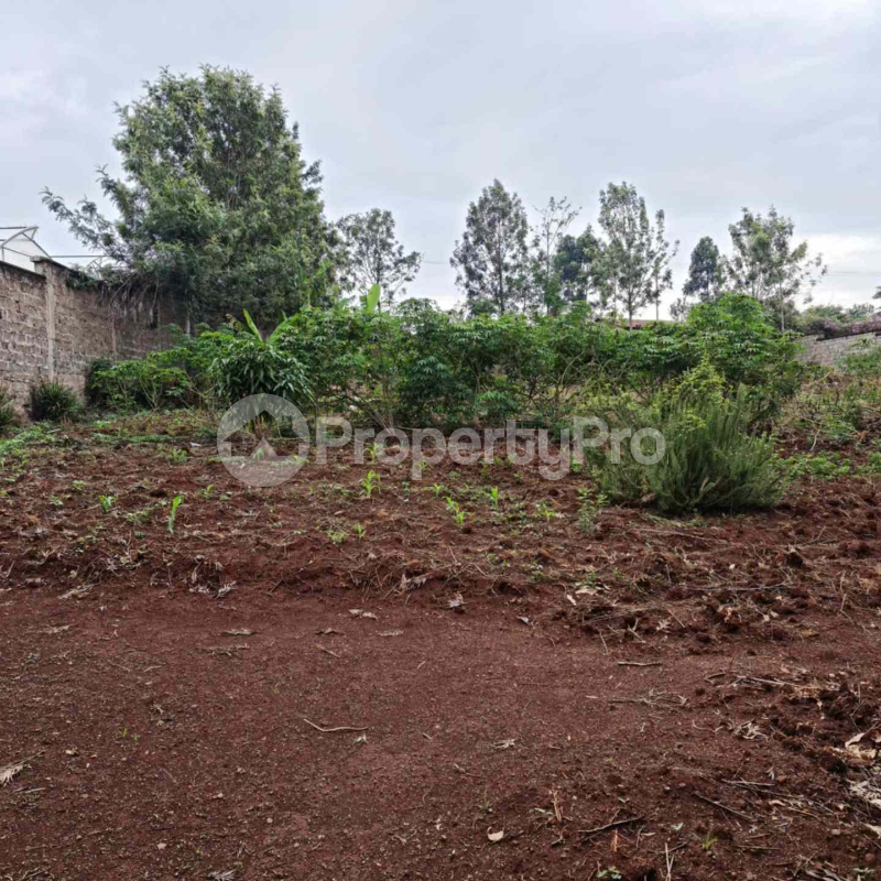 Land for sale Muthaiga North Nairobi