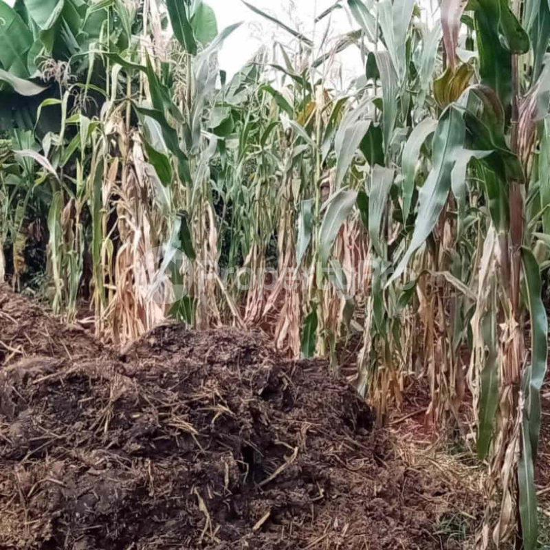 Land for sale Ruaka Nairobi