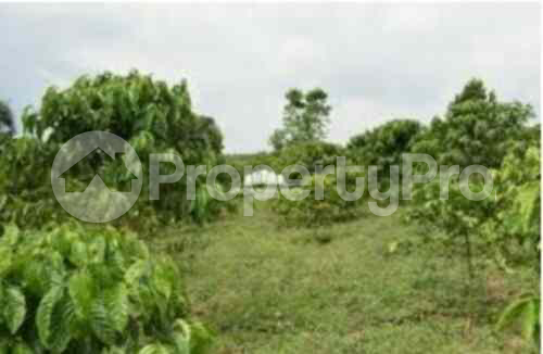 Land for sale Kiambu Kiambu