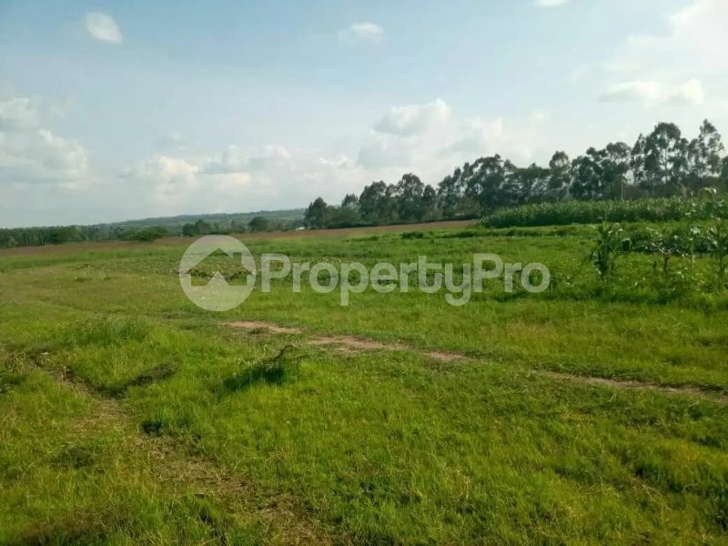 Land for sale Laikipia Laikipia