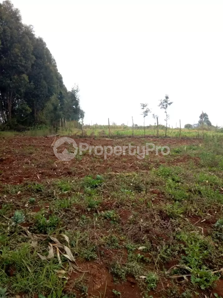 Land for sale Tigoni Limuru