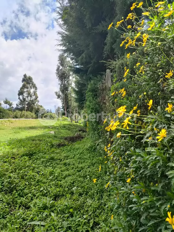Land for sale Nyeri Town Nyeri