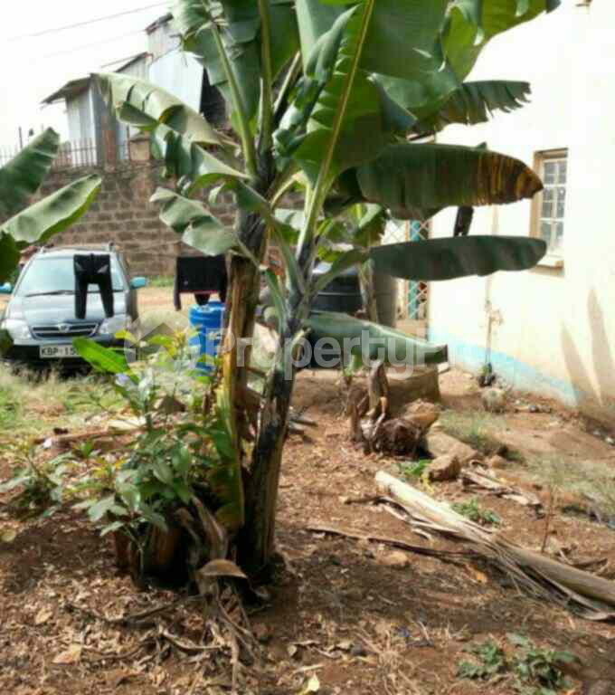 Land for sale Langata Nairobi