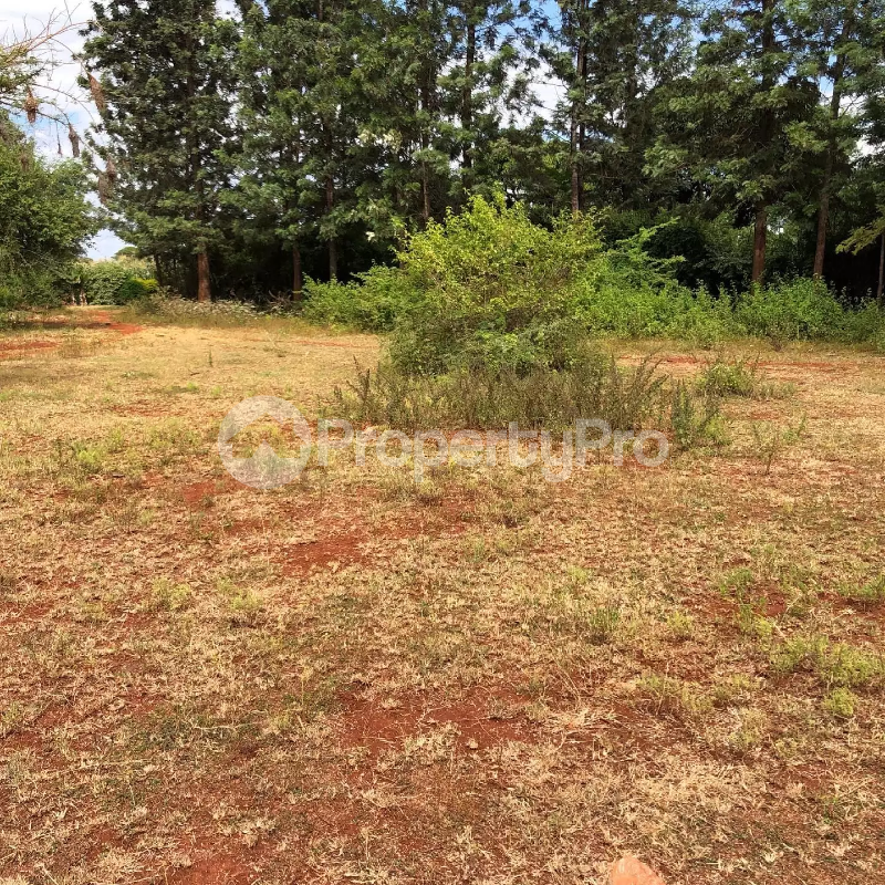 Land for sale Mwea Kirinyaga