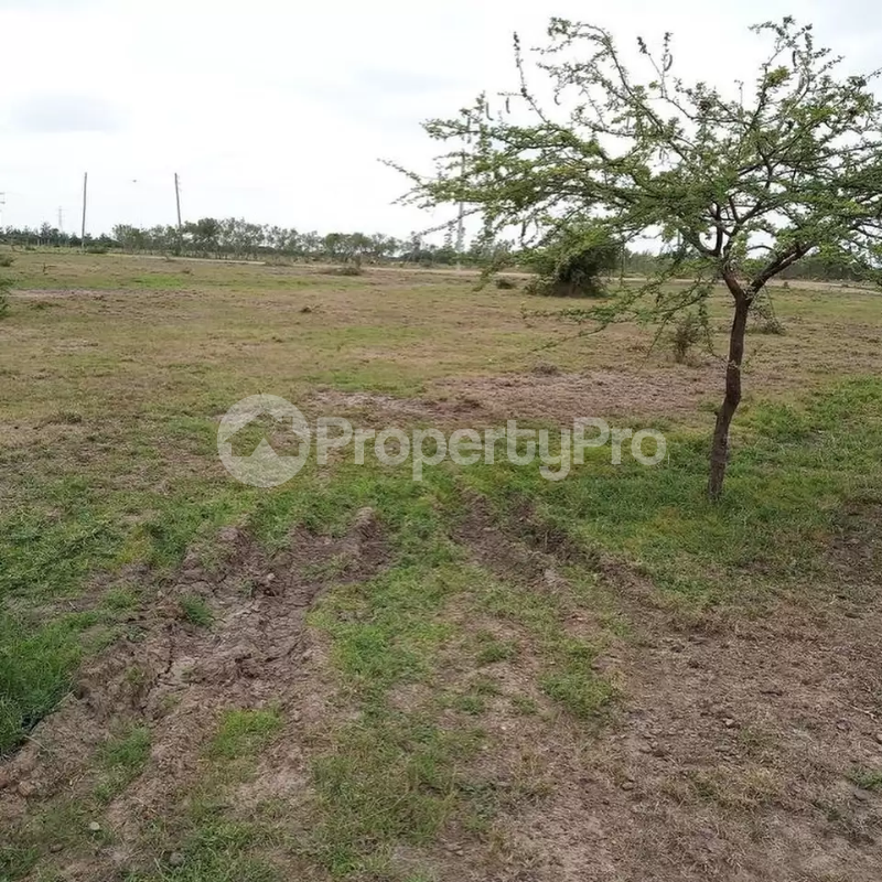 Land for sale Juja Kiambu
