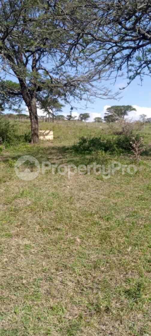 Land for sale Kiserian Kiserian