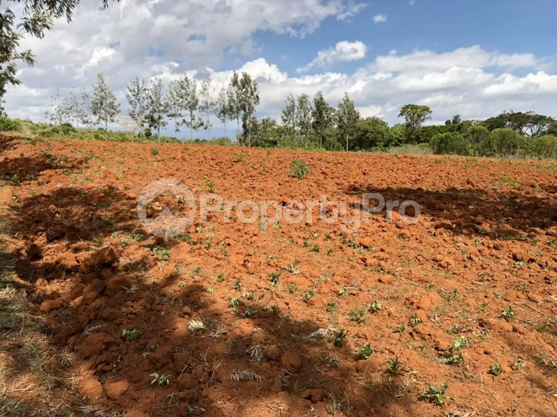 Land for sale Nanyuki Nanyuki