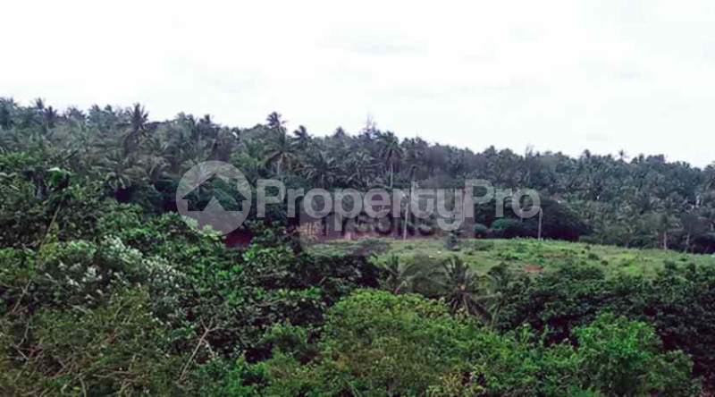 Land for sale Kilifi Kilifi