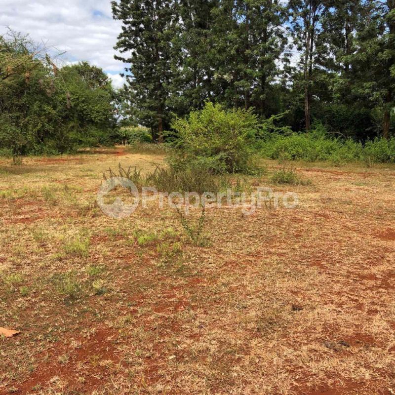 Land for sale Mwea Kirinyaga