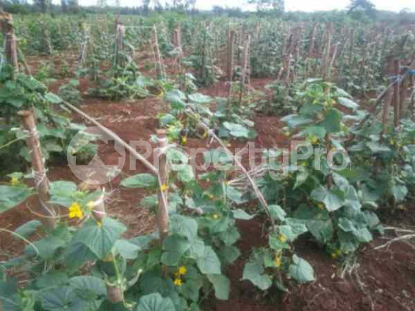 Land for sale Kenol Muranga