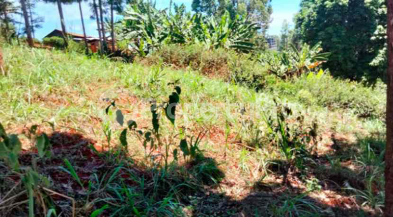 Land for sale Ndanderu, Tigoni Limuru