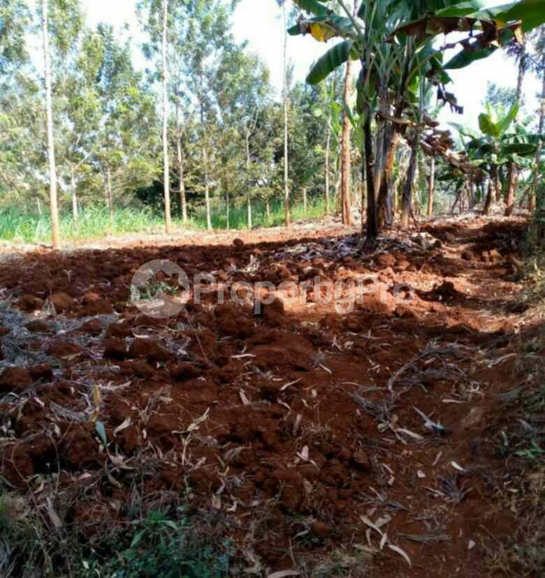 Land for sale Juja Kiambu