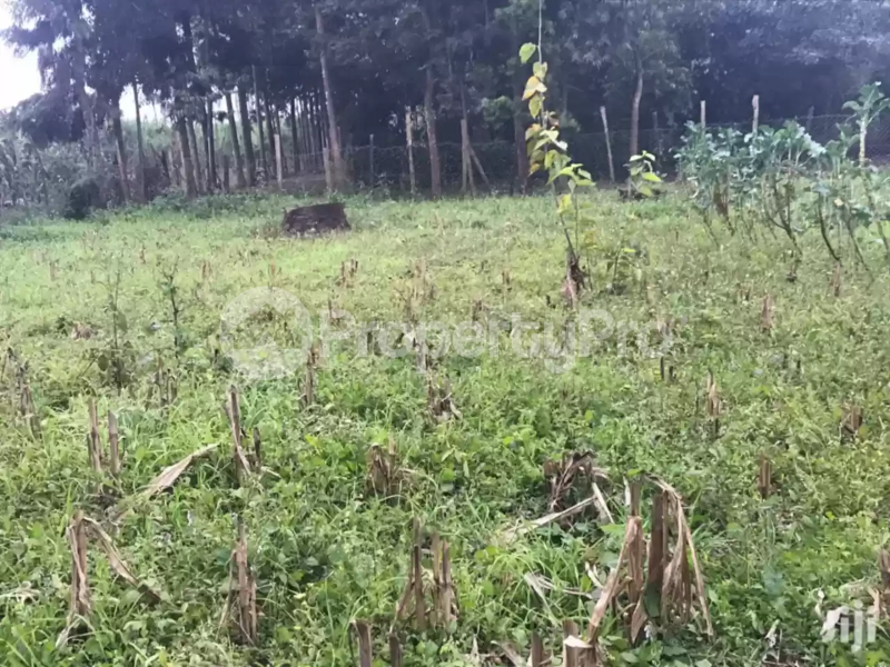 Land for sale Tigoni Limuru