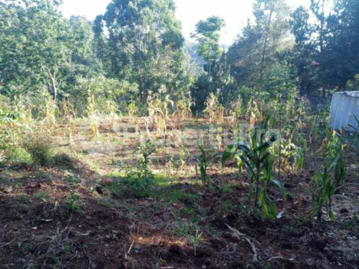 Land for sale Kyuna Nairobi