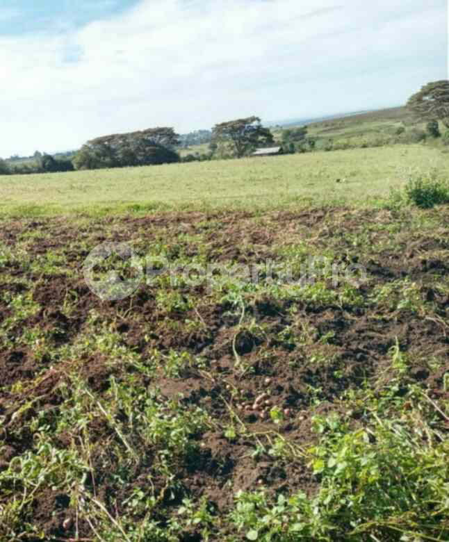 Land for sale Molo Nakuru