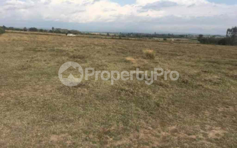 Land for sale Nanyuki Nanyuki