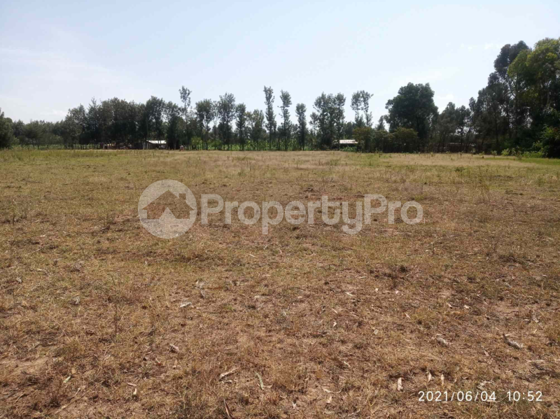 Land for sale Nanyuki Nanyuki