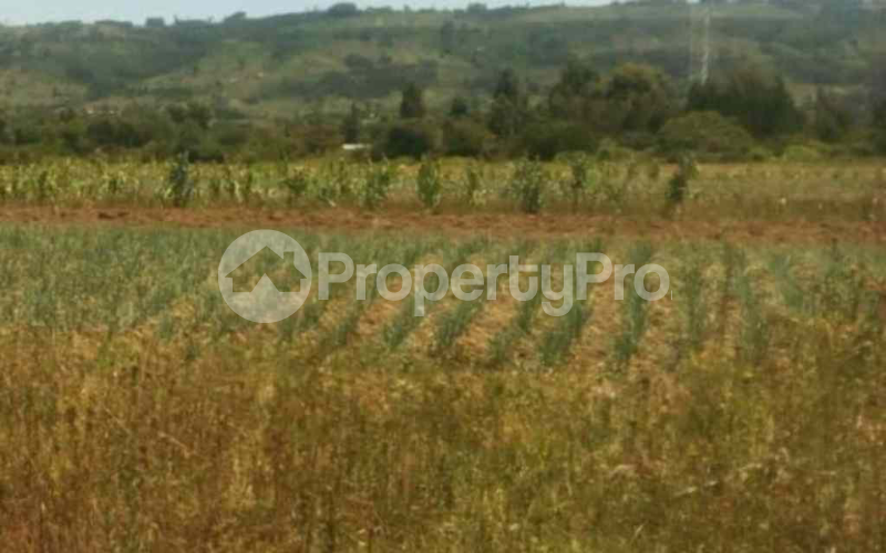 Land for sale Naivasha East Nakuru