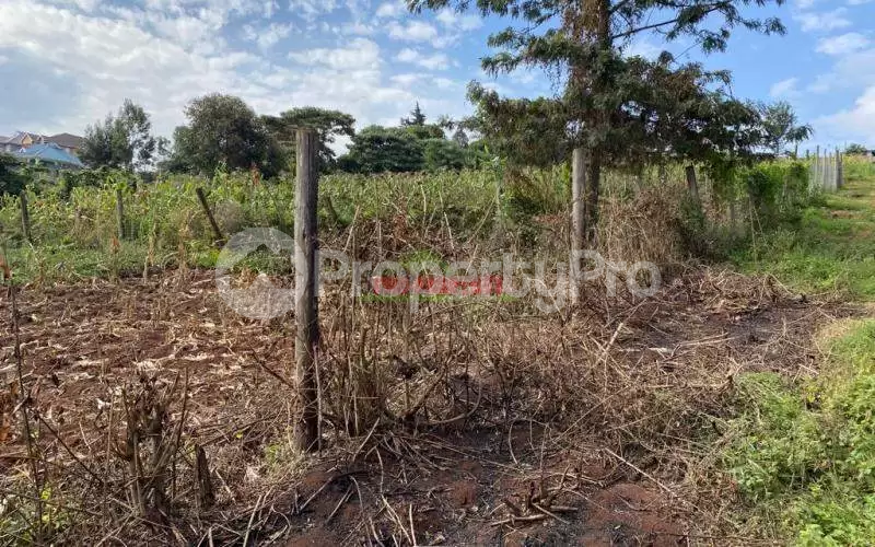 Land for sale Kikuyu Kiambu