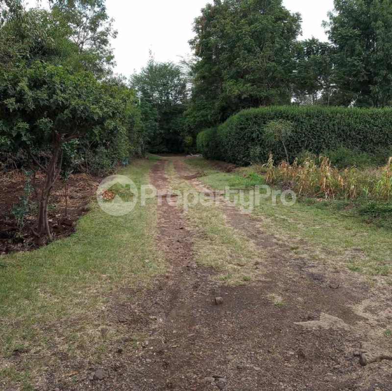 Land for sale Ruiru Kiambu