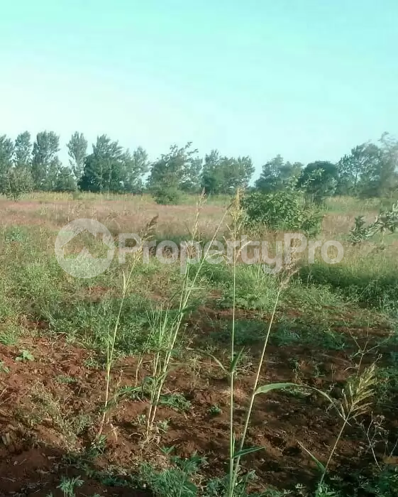 Land for sale Nyahururu Nyahururu