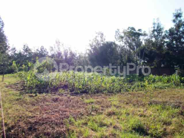 Land for sale Kiserian Kiserian