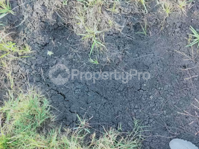 Land for sale Mwea Kirinyaga