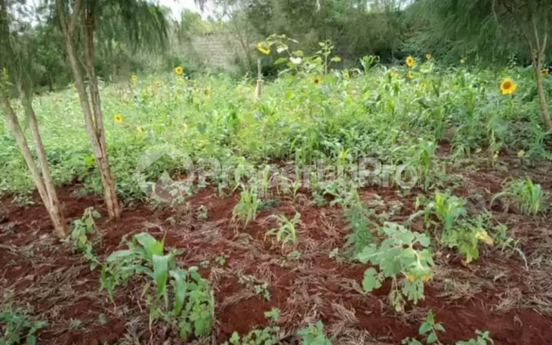 Land for sale Thika Kiambu
