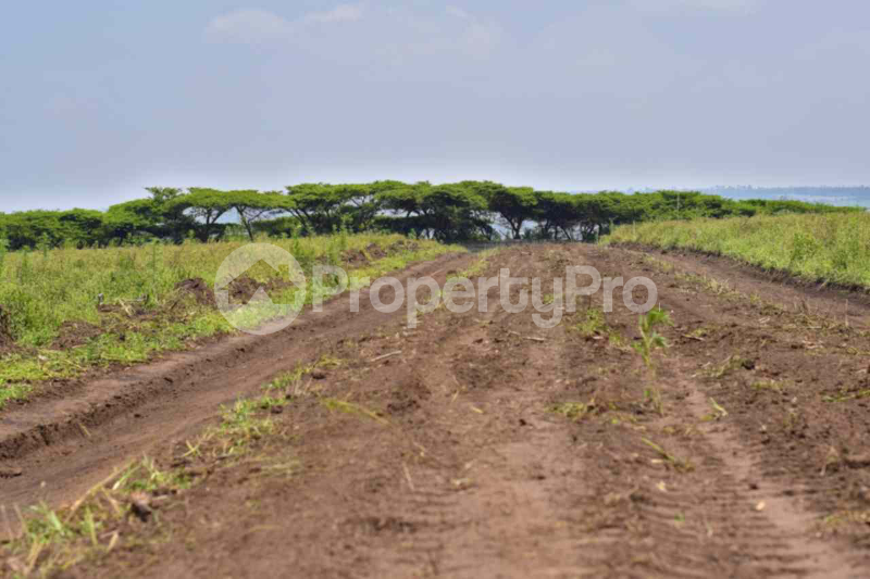 Land for sale Nakuru Town Nakuru