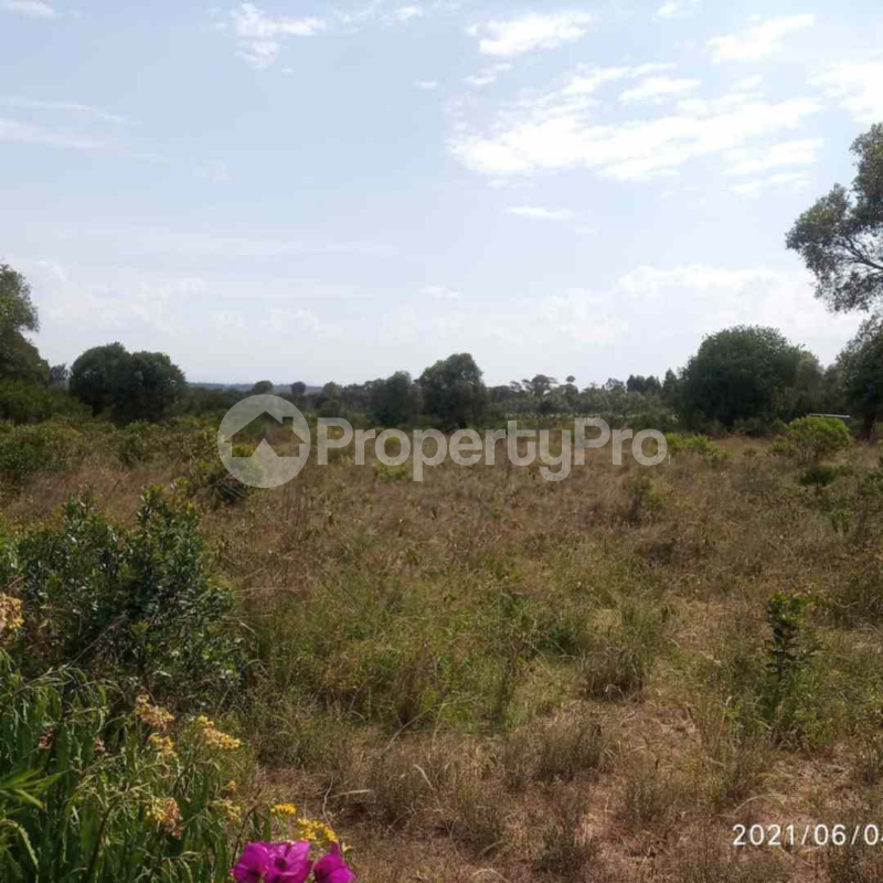 Land for sale Nanyuki Nanyuki