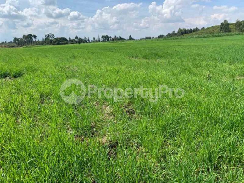 Land for sale Laikipia Laikipia