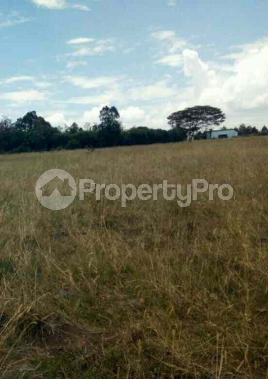 Land for sale Nanyuki Nanyuki