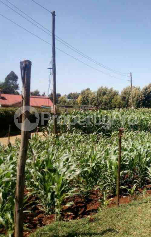 Land for sale Tigoni Limuru