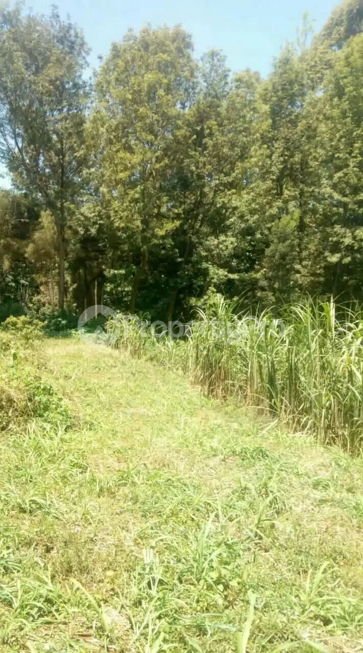 Land for sale Kikuyu Kiambu
