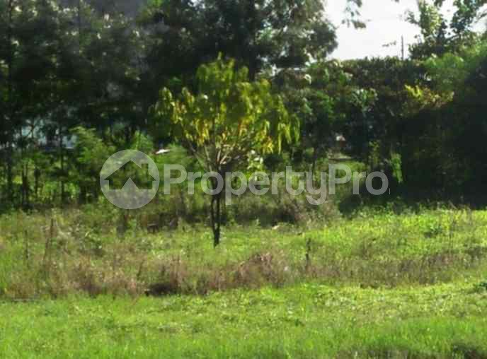 Land for sale Ruiru Kiambu