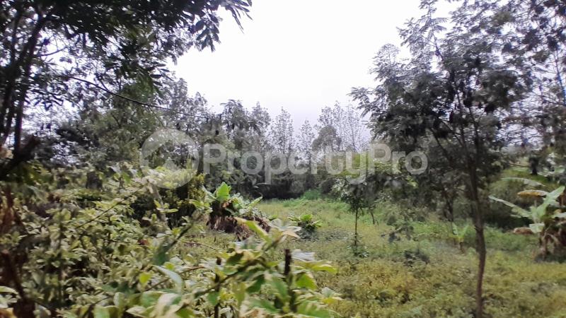 Land for rent Langata Nairobi