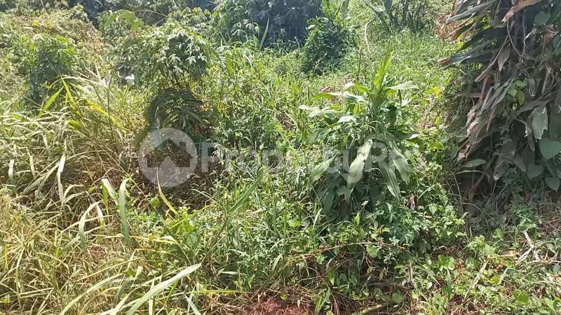 Land for rent Butambala Central - 0