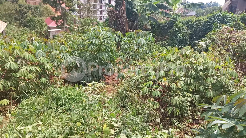 Land for rent Nakaseke Central - 1