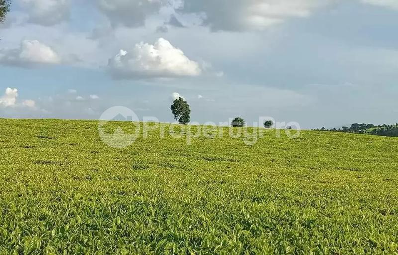 Land for sale Limuru Central Kiambu