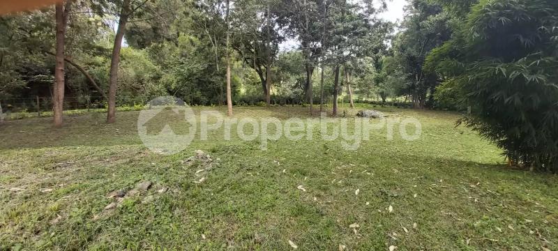 Land for sale Nanyuki Nanyuki