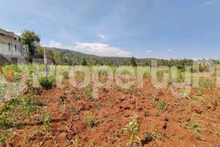 Land for sale Kerarapon Nairobi