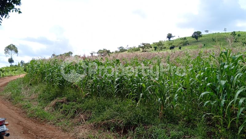 Land for sale Kigaarale  Kyenjojo Western - 0
