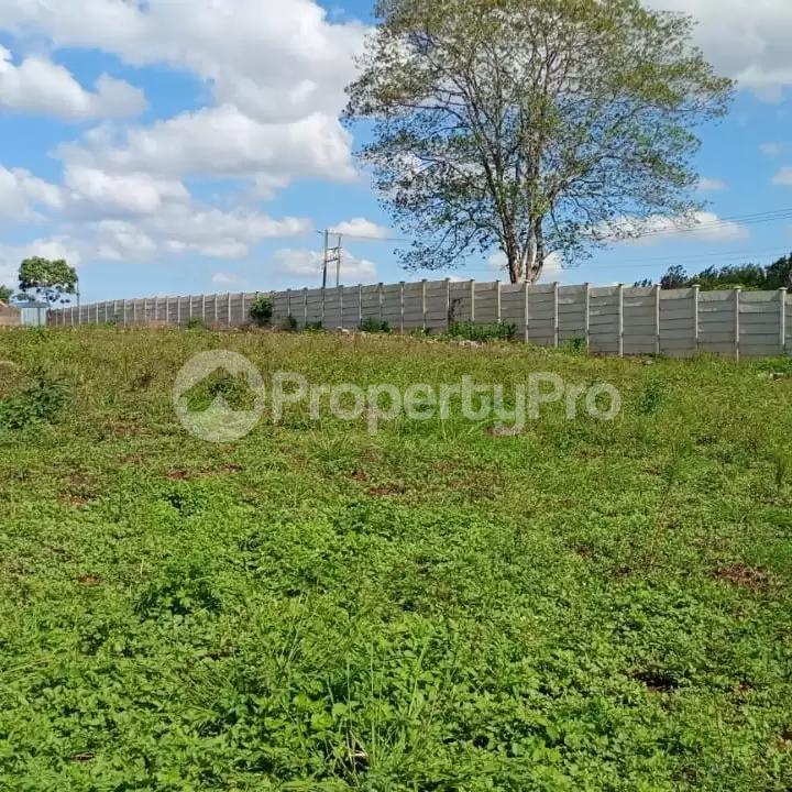 Land for sale Thika Kiambu - 0