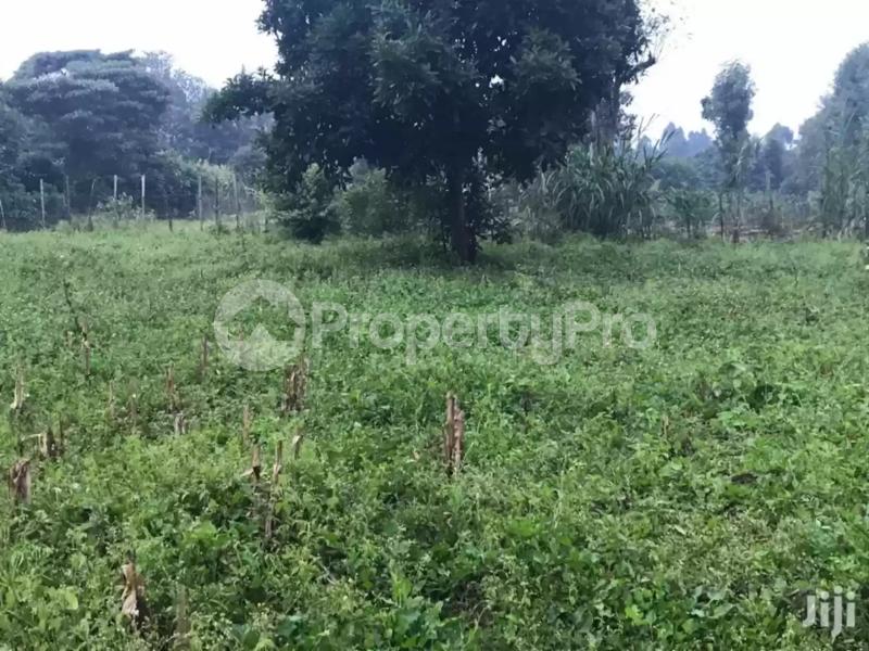 Land for sale Limuru Central Kiambu