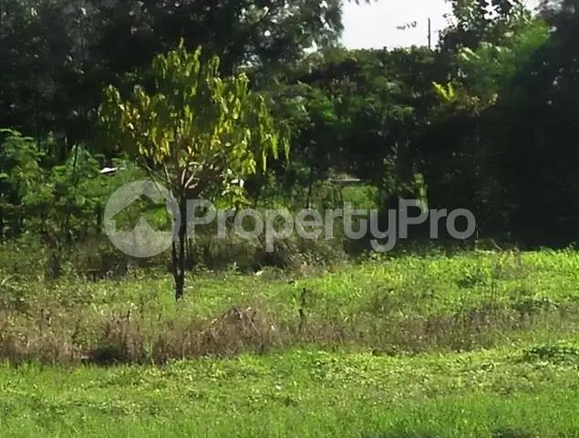 Land for sale Ruiru Kiambu
